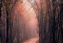 国三连败到两连胜拼出希望 小组大乱战把握机会.