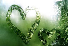 [CBA]常规赛12月4日：浙江VS吉林 刘泽一集锦.