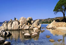 达米安：自豪能戴上国米的队长袖标，我会一如既往地全力以赴.